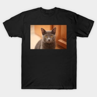 Russian Blue Kitten T-Shirt